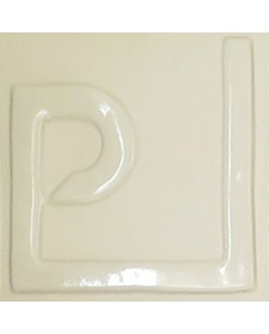 ENGOBE GRÈS & PORCELAINE EASP-00 BASE À COLORER LIQUIDE 1KG